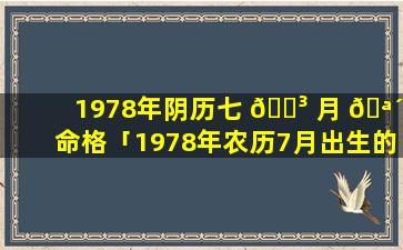 1978年阴历七 🐳 月 🪴 命格「1978年农历7月出生的马一生命运」